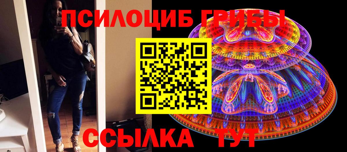 Псилоцибиновые грибы прущие грибы  сколько стоит  Абинск  Вход с VPN 