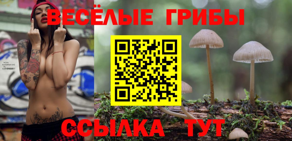 Псилоцибиновые грибы мицелий Абинск
